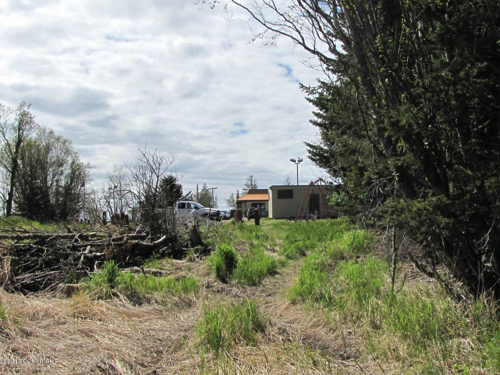 3668 Ben Walters Lane, Homer, Alaska image 6