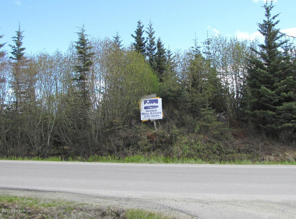 3668 Ben Walters Lane, Homer, Alaska image 2