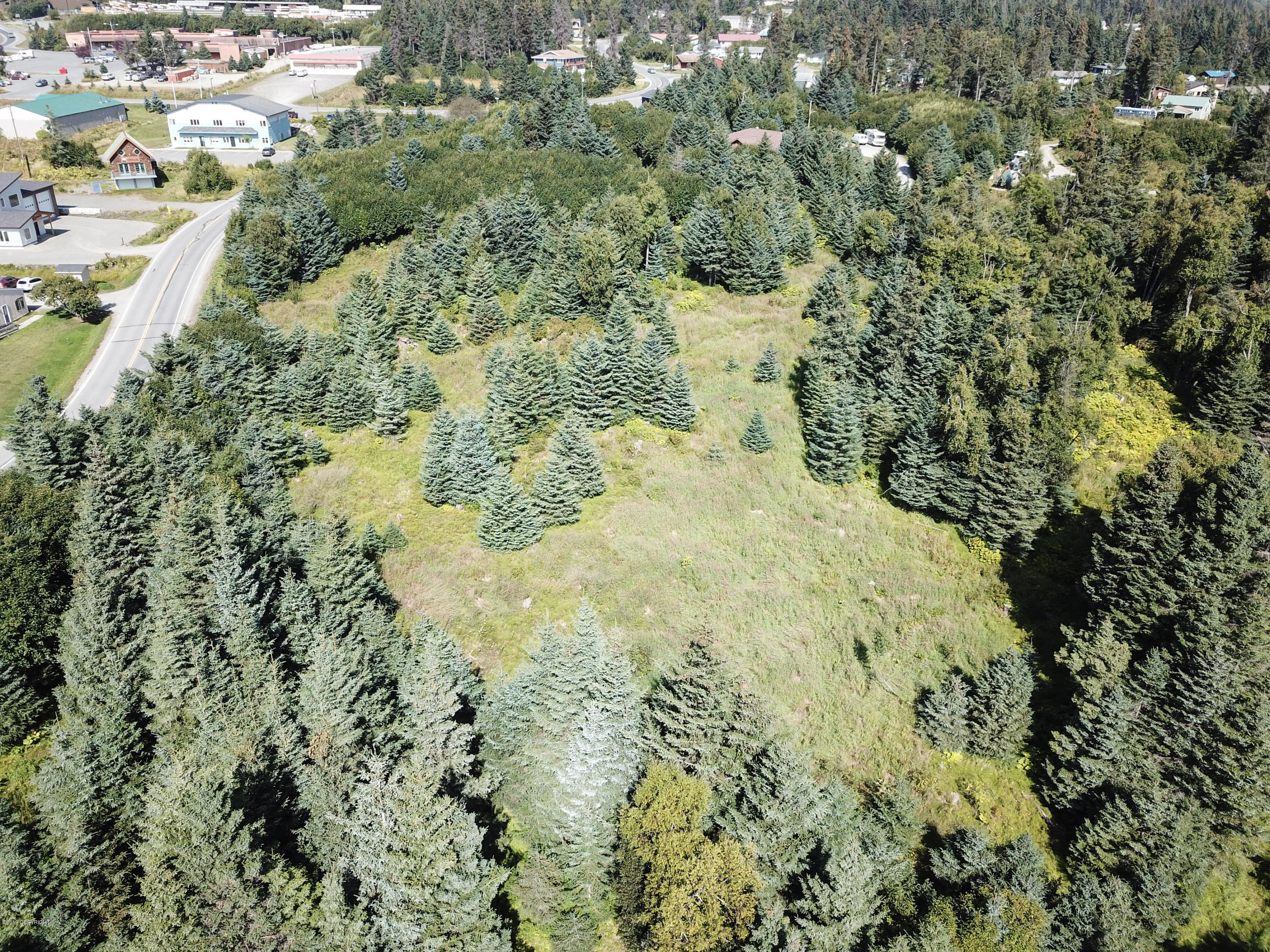 3668 Ben Walters Lane, Homer, Alaska image 15