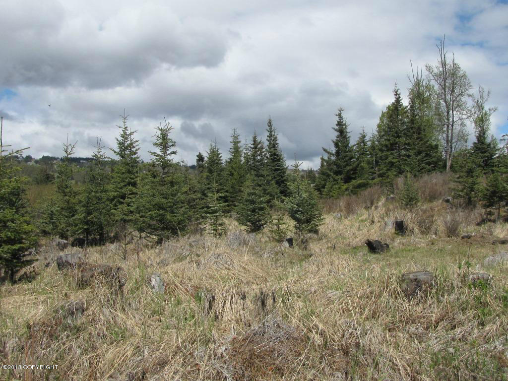 3668 Ben Walters Lane, Homer, Alaska image 4