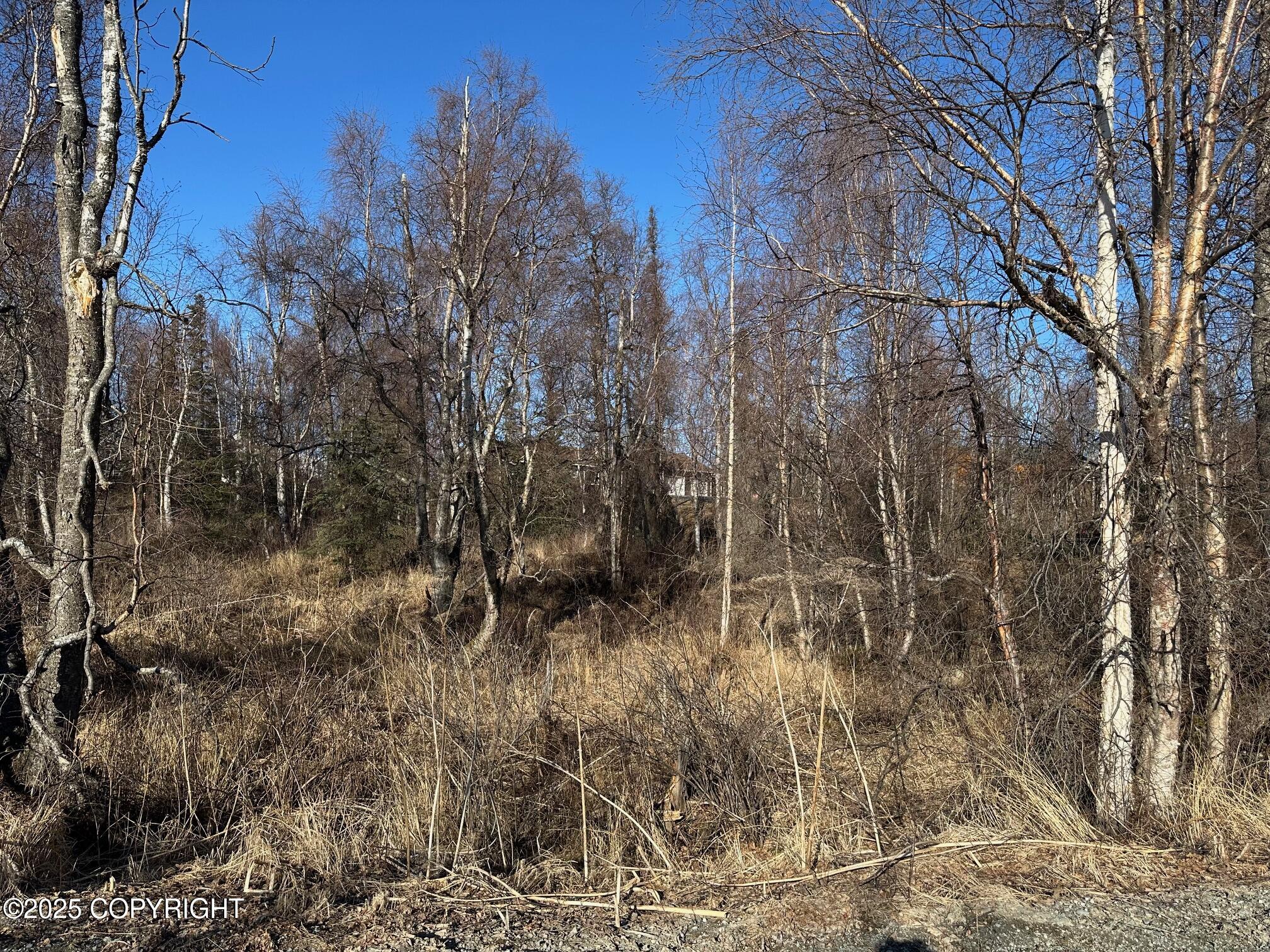 5501 E Tamarack Circle Cir, Wasilla, Alaska image 1