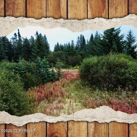 Vacant Land For Sale - 26940 Sterling Highway<br/> Anchor Point, AK 99556