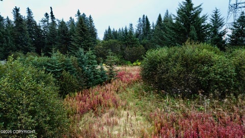 Photo of 26940 Sterling Highway, Anchor Point, AK 99556 (MLS # 26-12227)