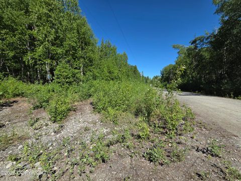Vacant Land For Sale - L1 S Clara Circle<br/> Talkeetna, AK 99676