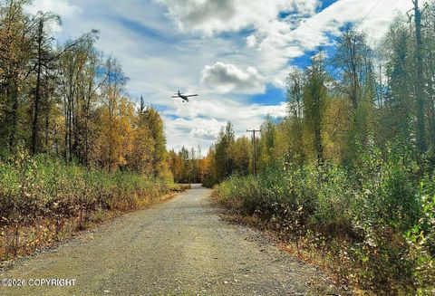 Vacant Land For Sale - L1 S Clara Circle<br/> Talkeetna, AK 99676