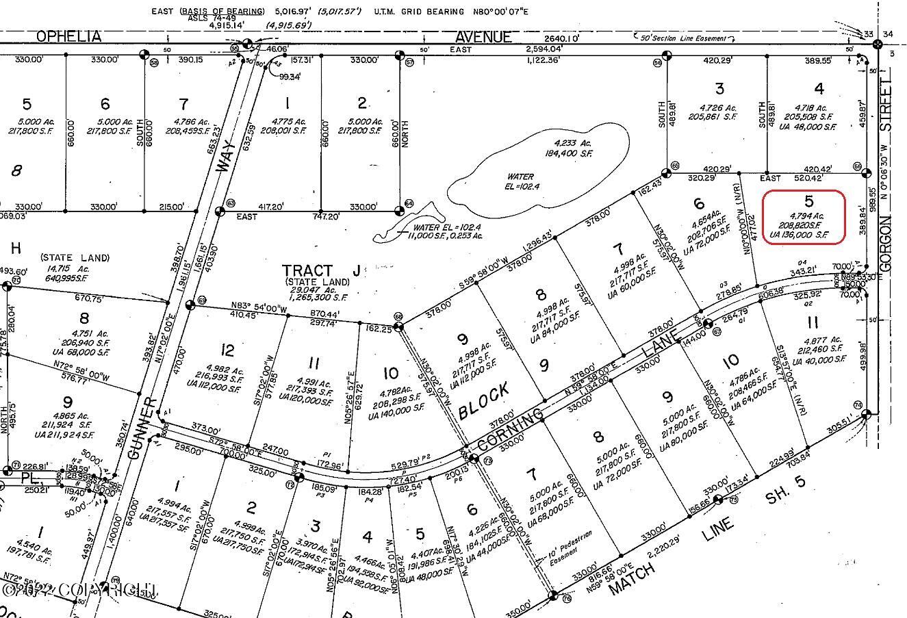 L5 B9 Yentna River (no Road), Skwentna, Alaska image 12