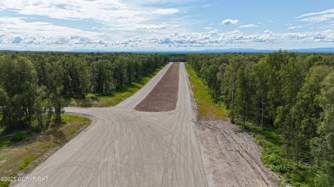 Vacant Land For Sale - 26333 S Gadol Drive<br/> Talkeetna, AK 99676