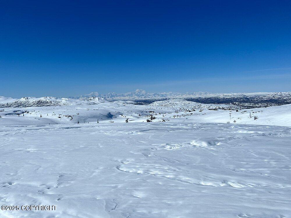 26333 S S Gadol Drive, Talkeetna, Alaska image 5