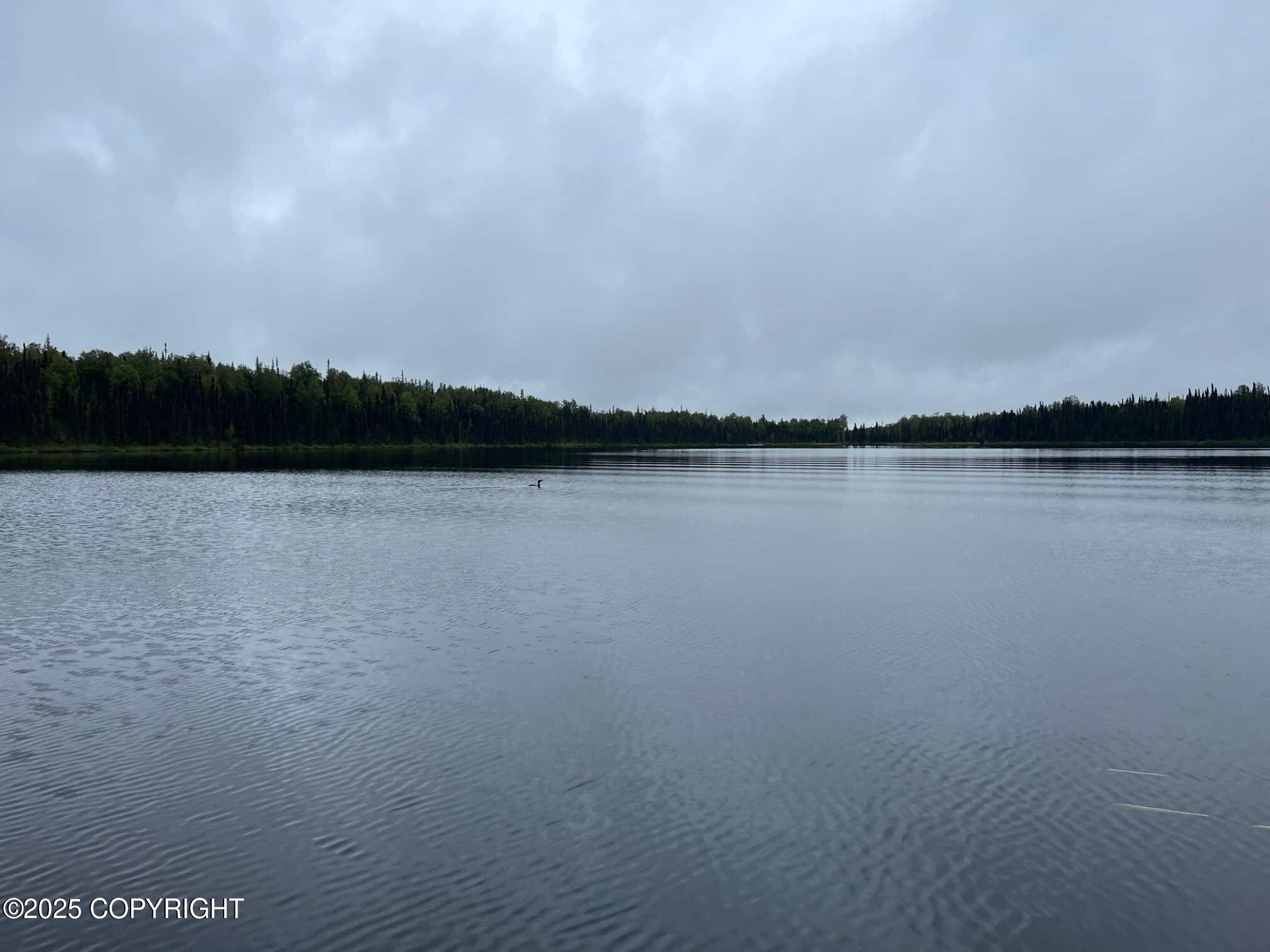 26333 S S Gadol Drive, Talkeetna, Alaska image 7