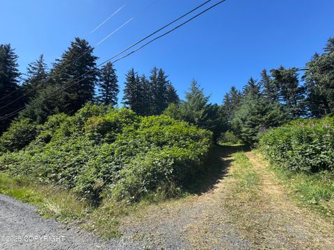 Vacant Land For Sale - 1679 Three Sisters Way<br/> Kodiak, AK 99615