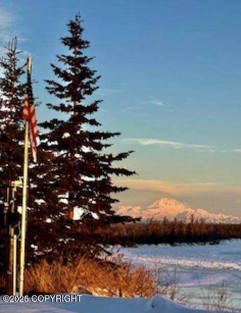 Mile 23 Yentna River Ave, Willow, Alaska image 5