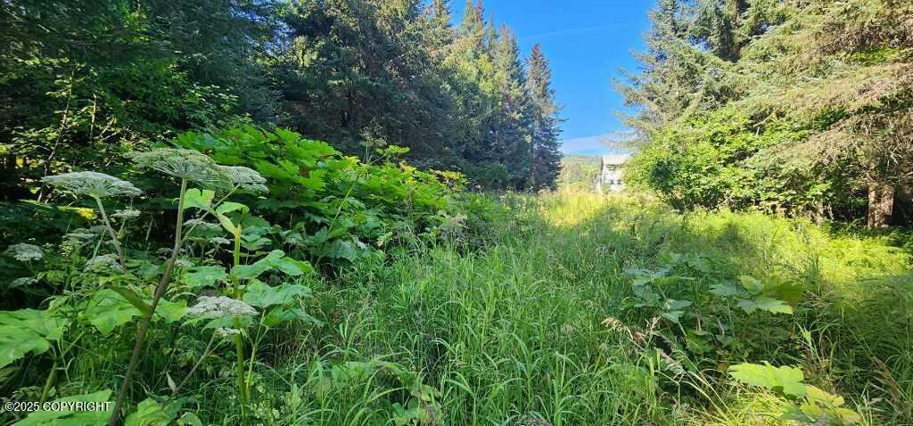 NKA E Mallard Way, Homer, Alaska image 3