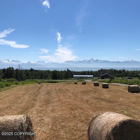 L2 Johnna Circle, Homer, Alaska image 4