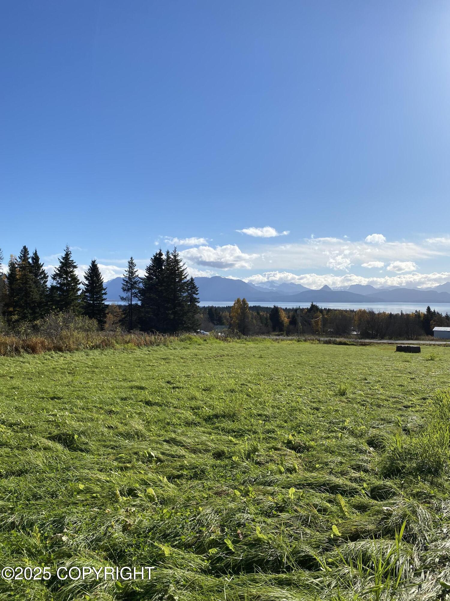 L2 Johnna Circle, Homer, Alaska image 3