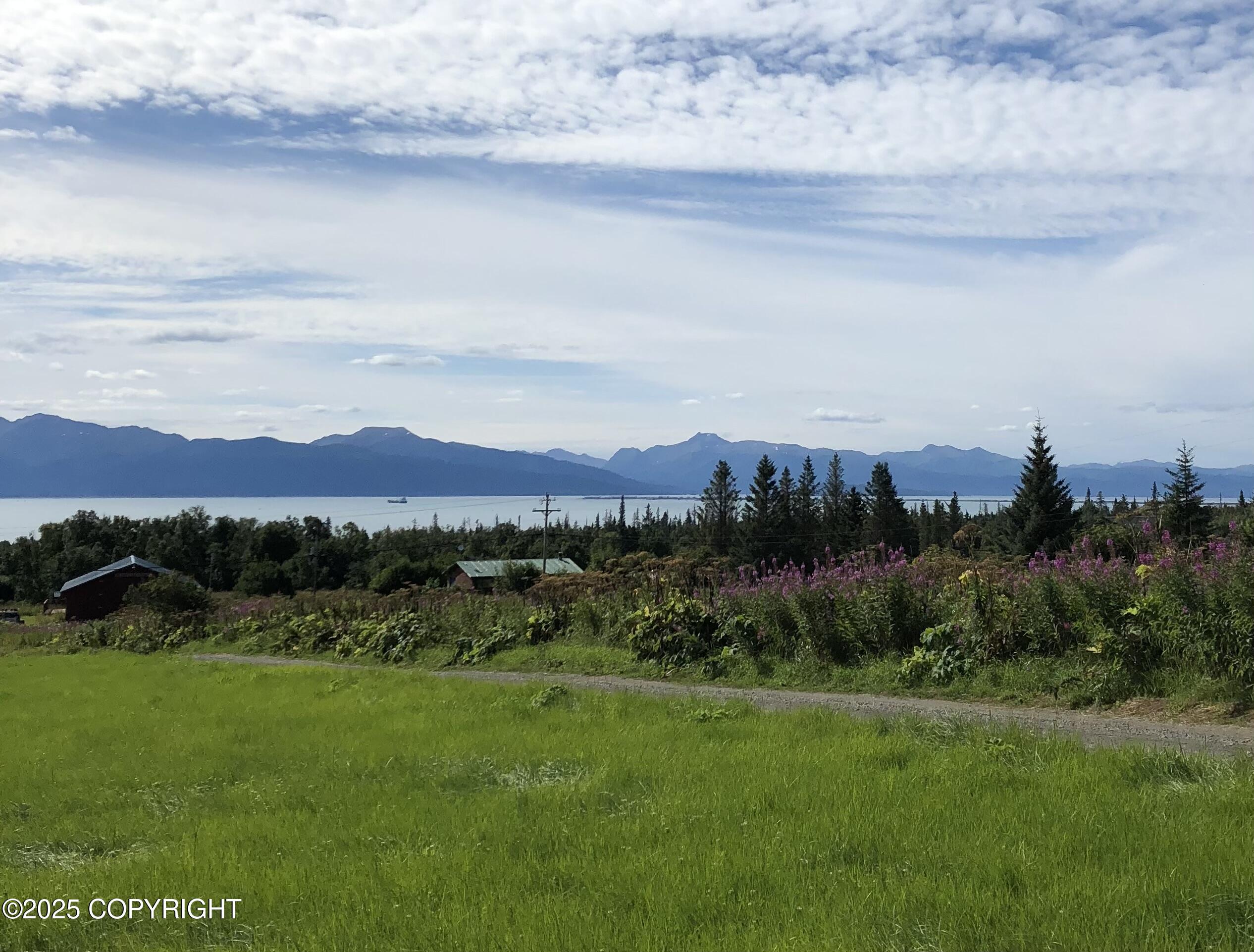 L2 Johnna Circle, Homer, Alaska image 1