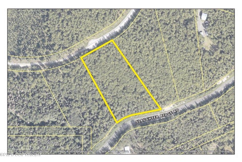Vacant Land For Sale - L18 Slaughter Ridge Road<br/> Cooper Landing, AK 99572