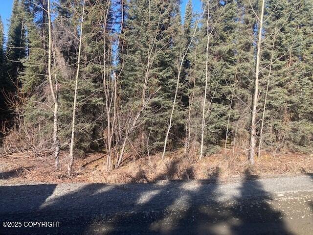 34970 Laura Lane, Soldotna, Alaska image 1
