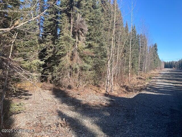 34970 Laura Lane, Soldotna, Alaska image 5