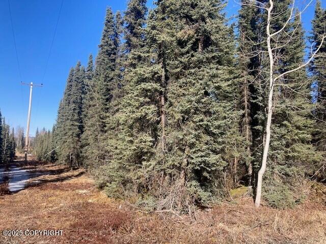 34970 Laura Lane, Soldotna, Alaska image 3