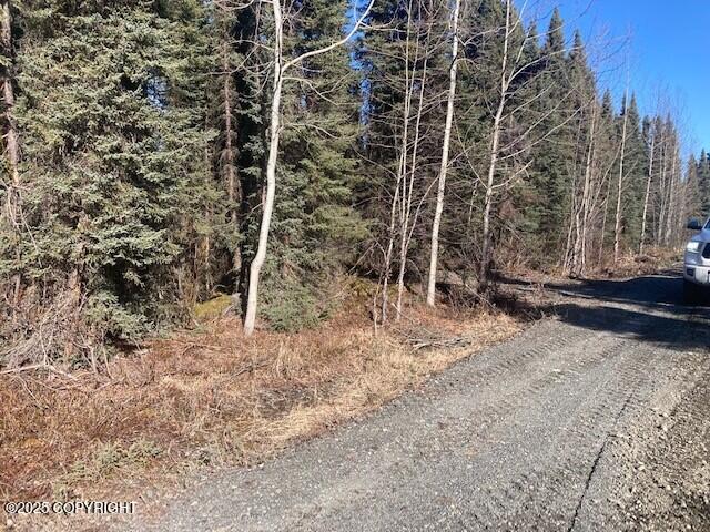 34970 Laura Lane, Soldotna, Alaska image 4