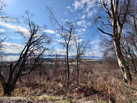 Photo of 2740 Kestrel Lane, Homer, AK 99603 (MLS # 26-5152)