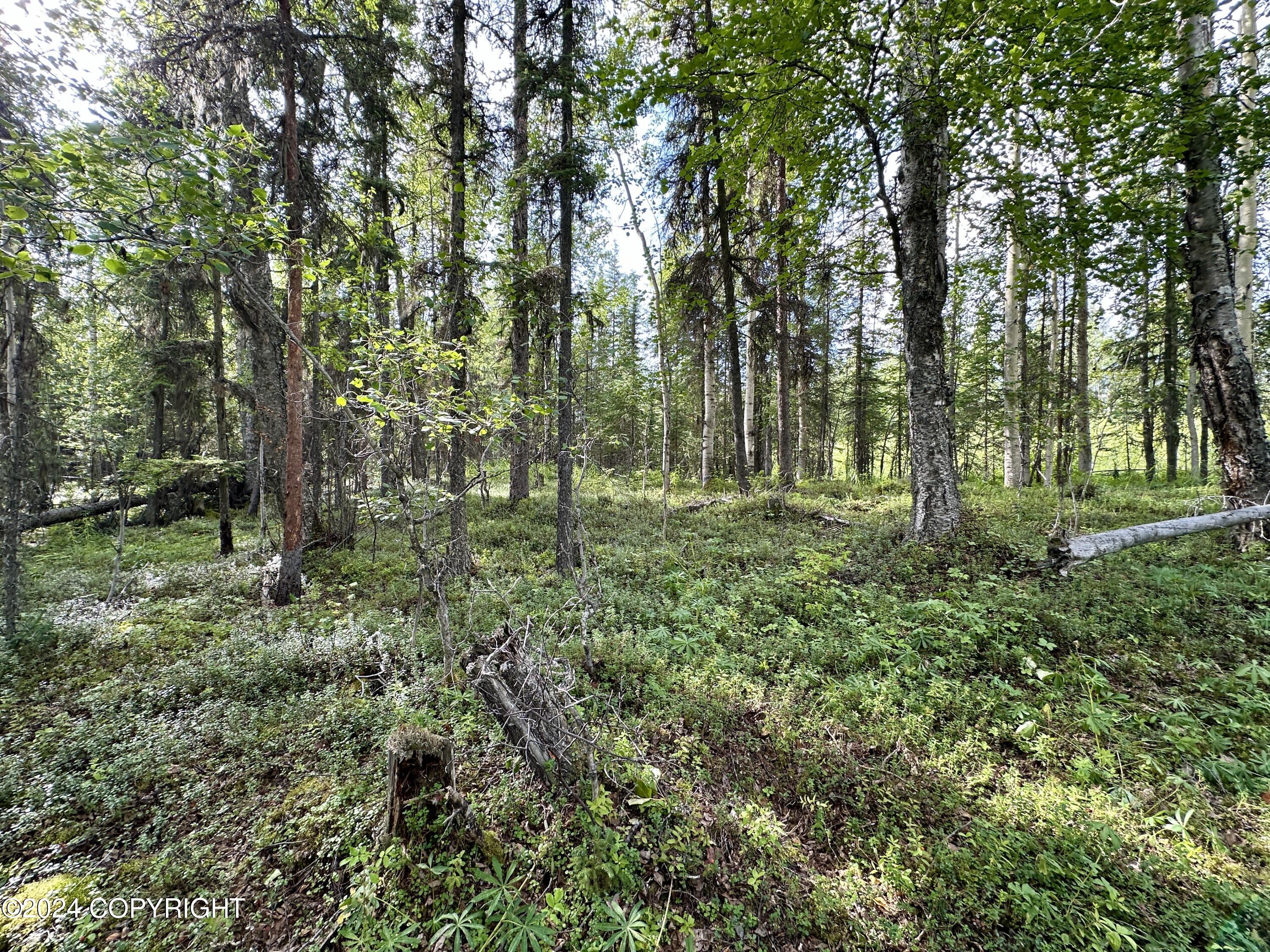 0001 W Adkins Road, Sterling, Alaska image 18