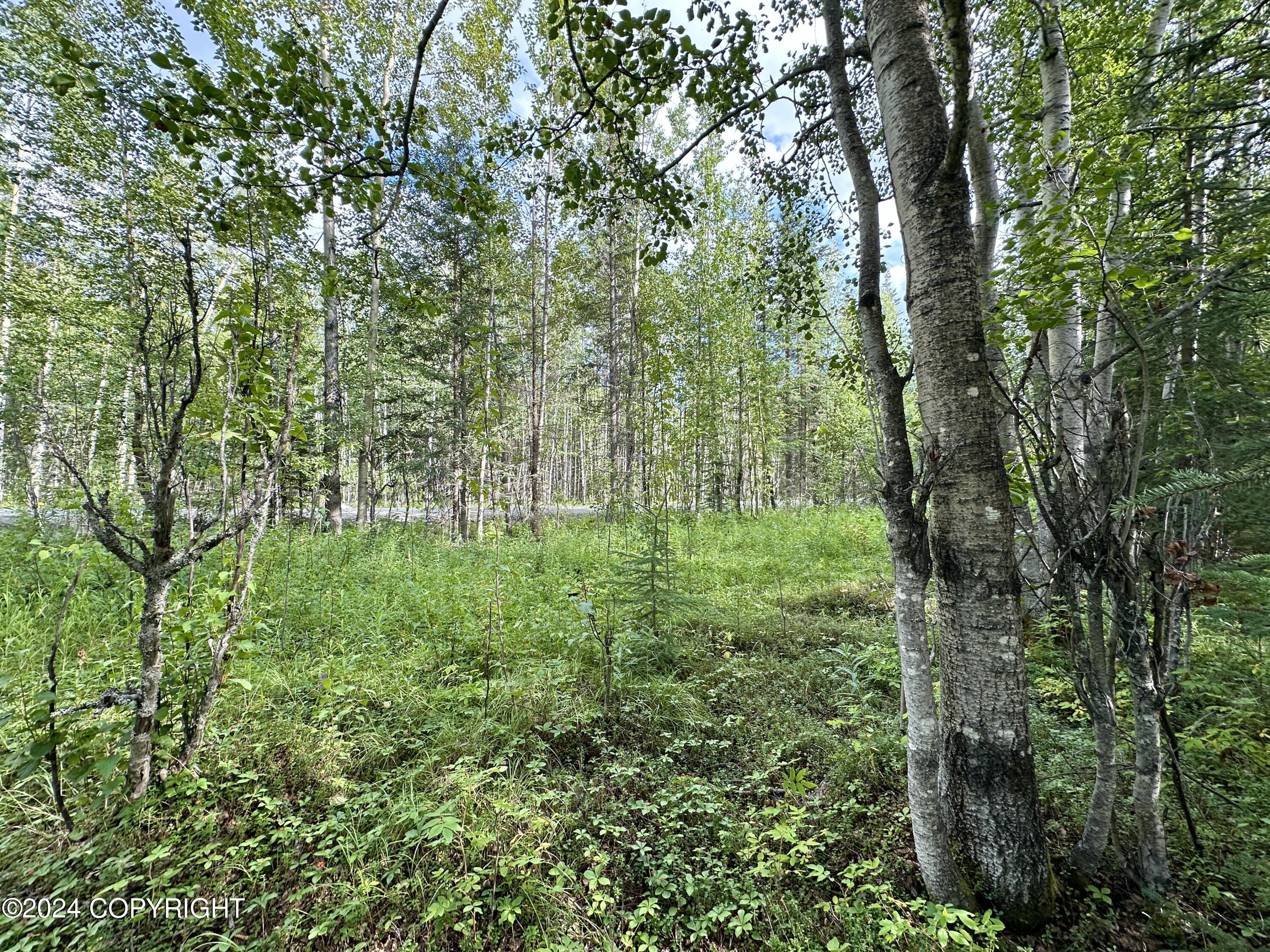 0001 W Adkins Road, Sterling, Alaska image 20