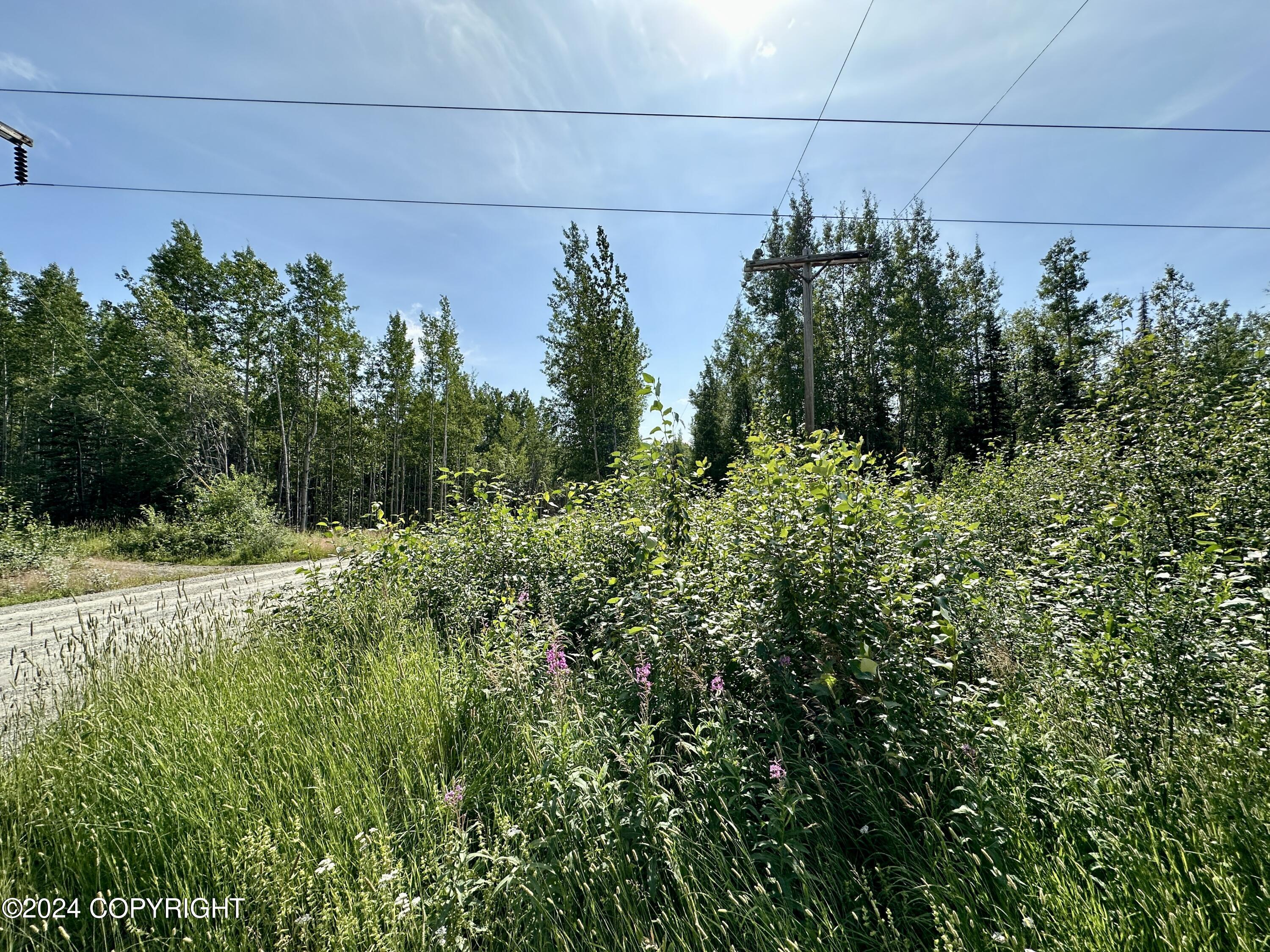 0001 W Adkins Road, Sterling, Alaska image 14