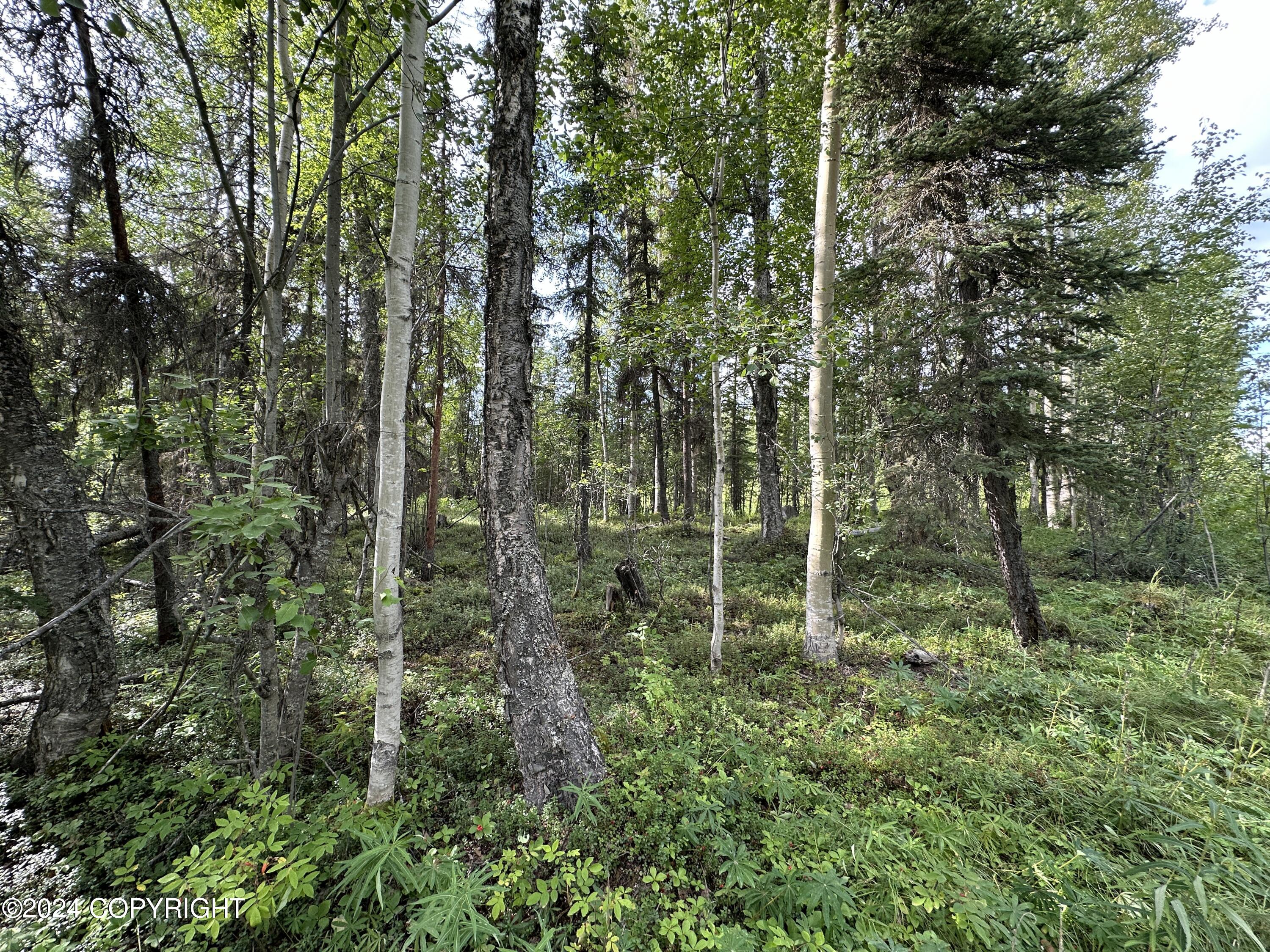 0001 W Adkins Road, Sterling, Alaska image 17