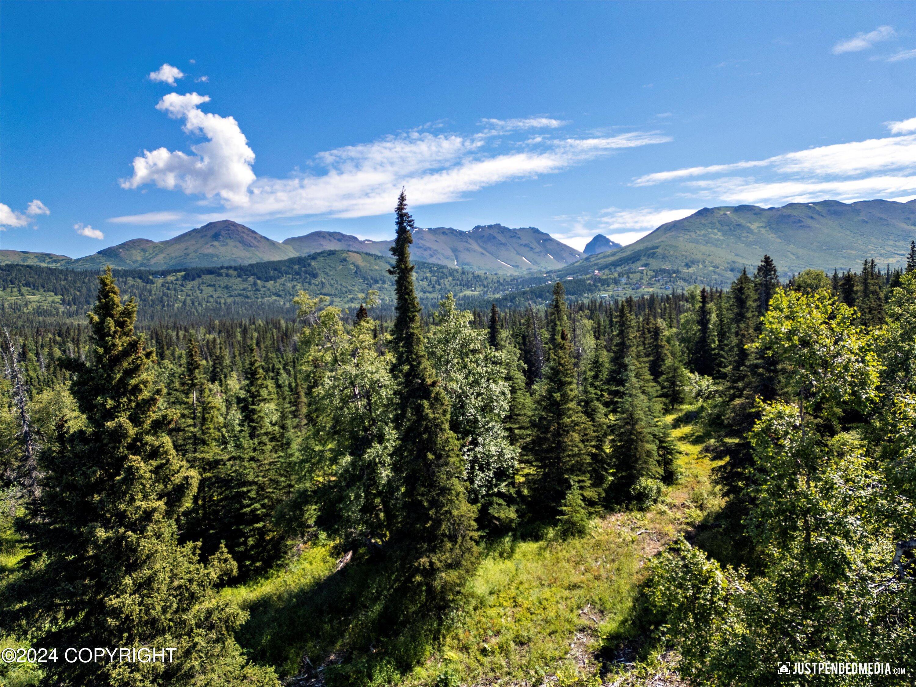 L5 B5 Mountain Air Drive, Anchorage, Alaska image 15