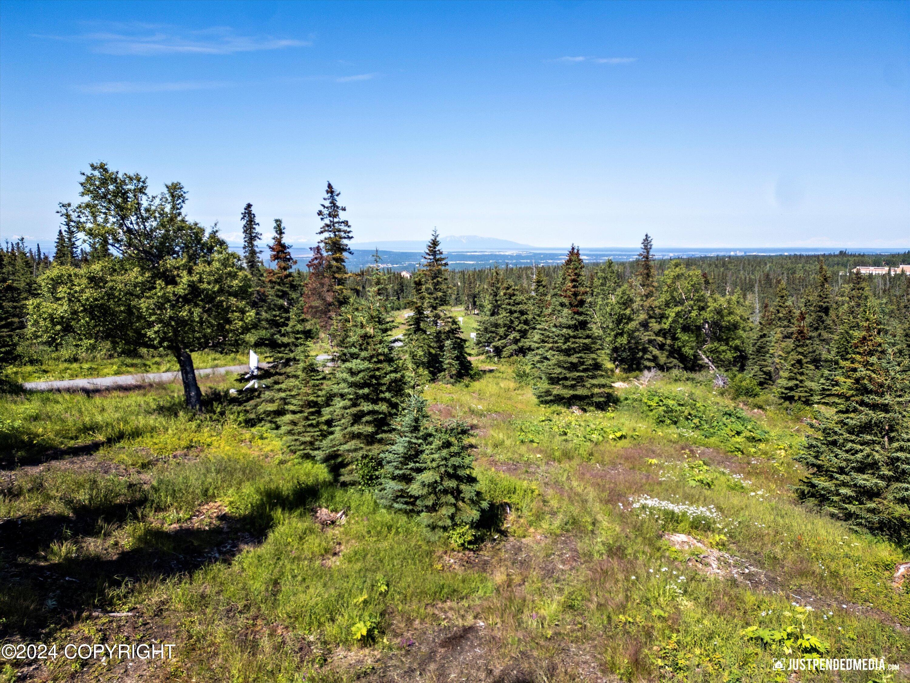 L5 B5 Mountain Air Drive, Anchorage, Alaska image 7