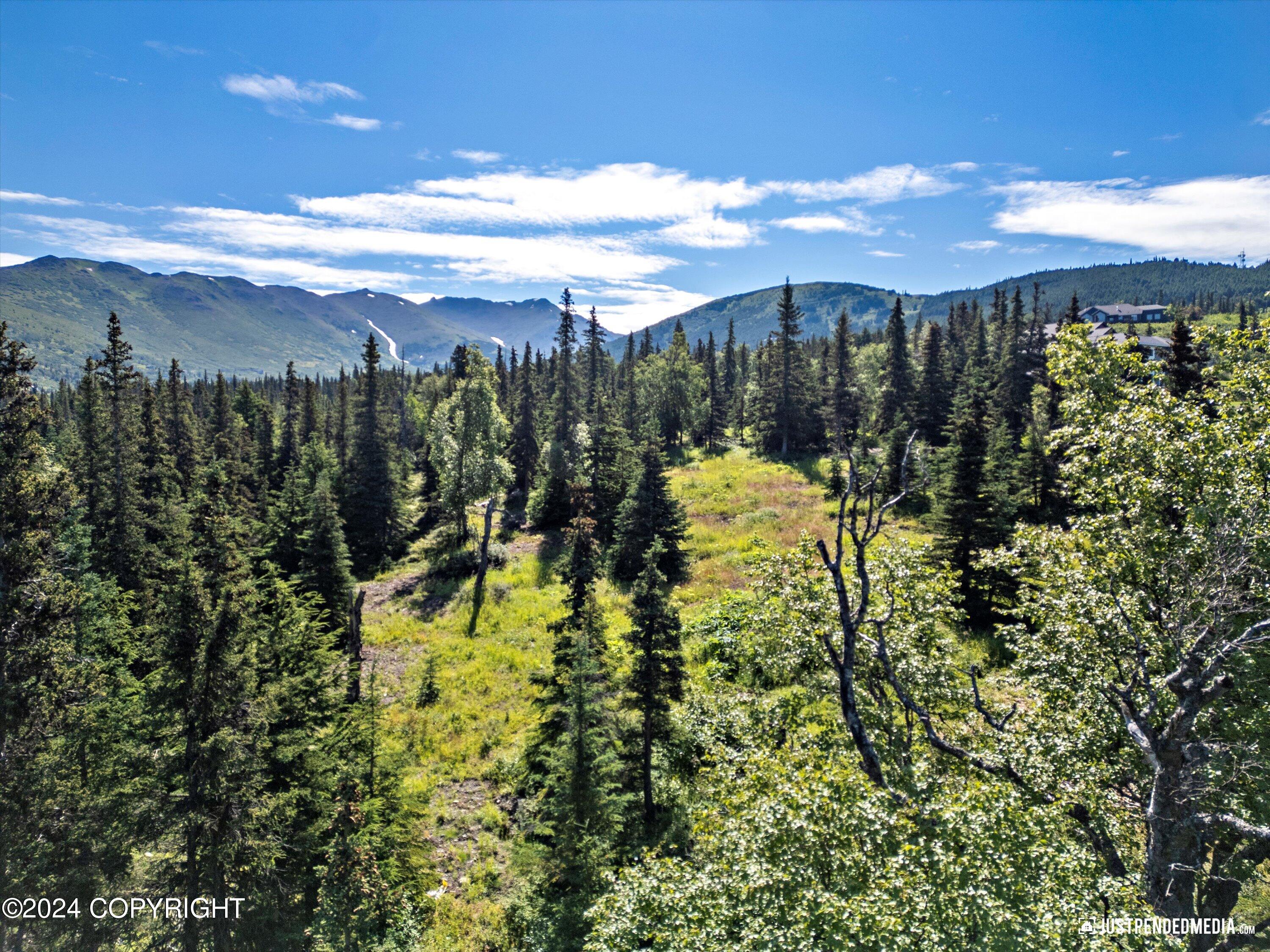 L5 B5 Mountain Air Drive, Anchorage, Alaska image 14