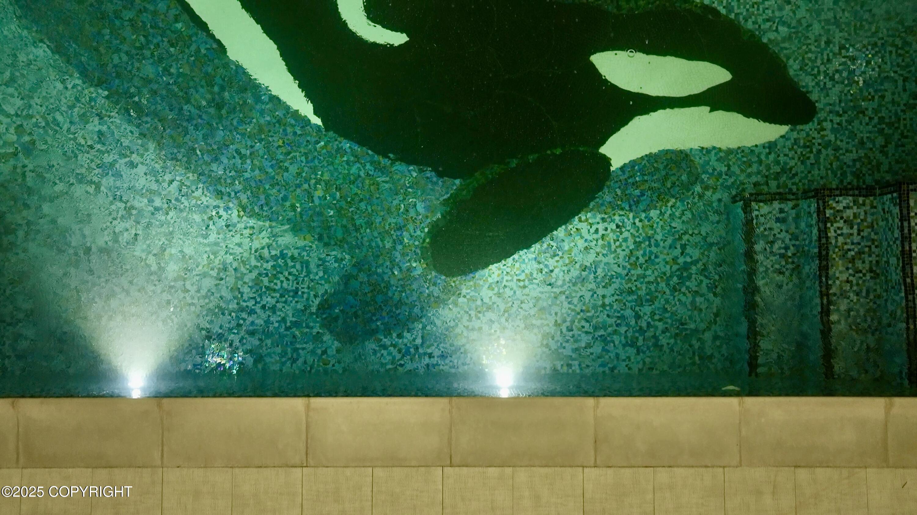 Homer, Alaska 99603, United States, ,Commercial,Pending,231761