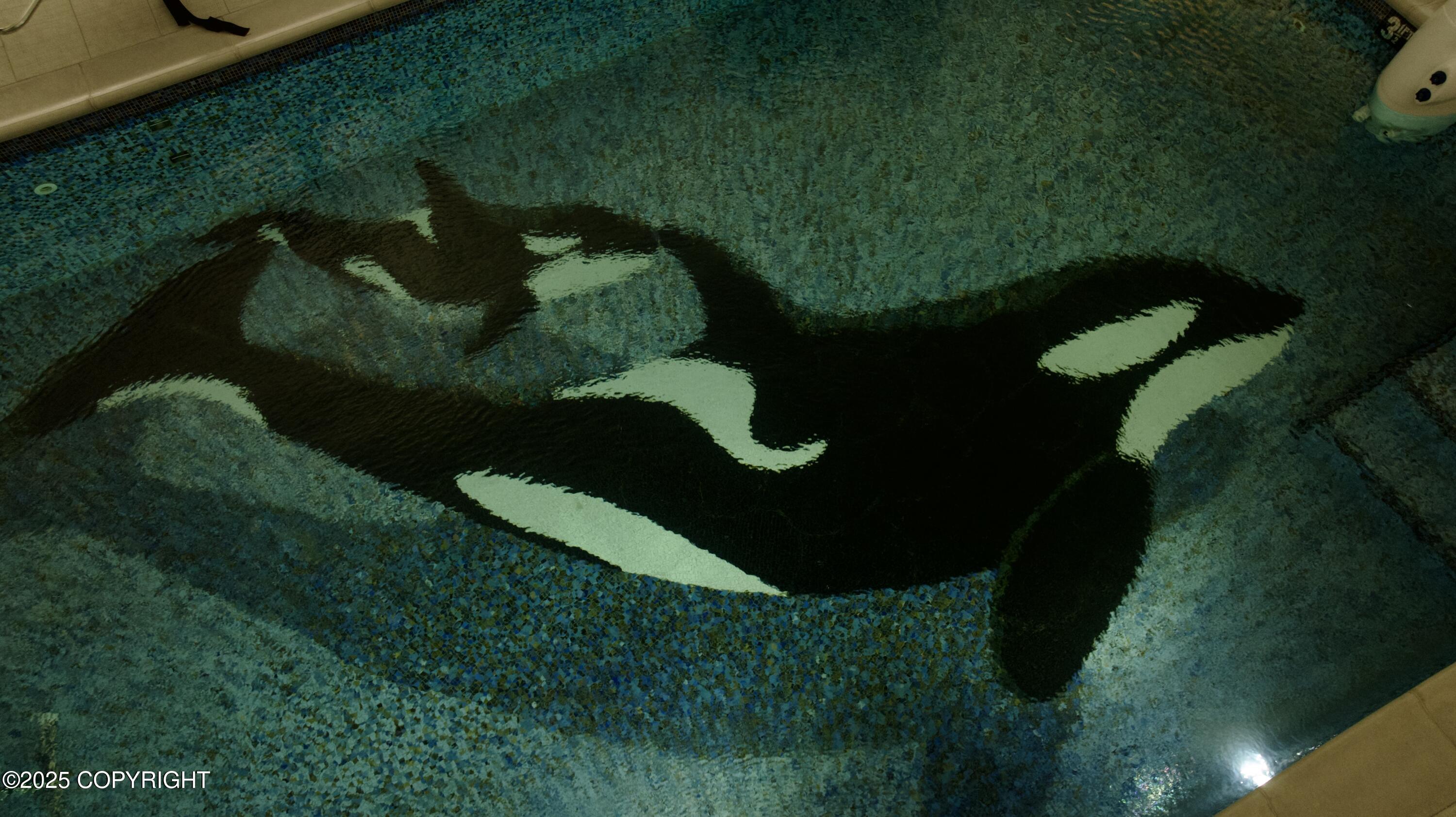 Homer, Alaska 99603, United States, ,Commercial,Pending,231761