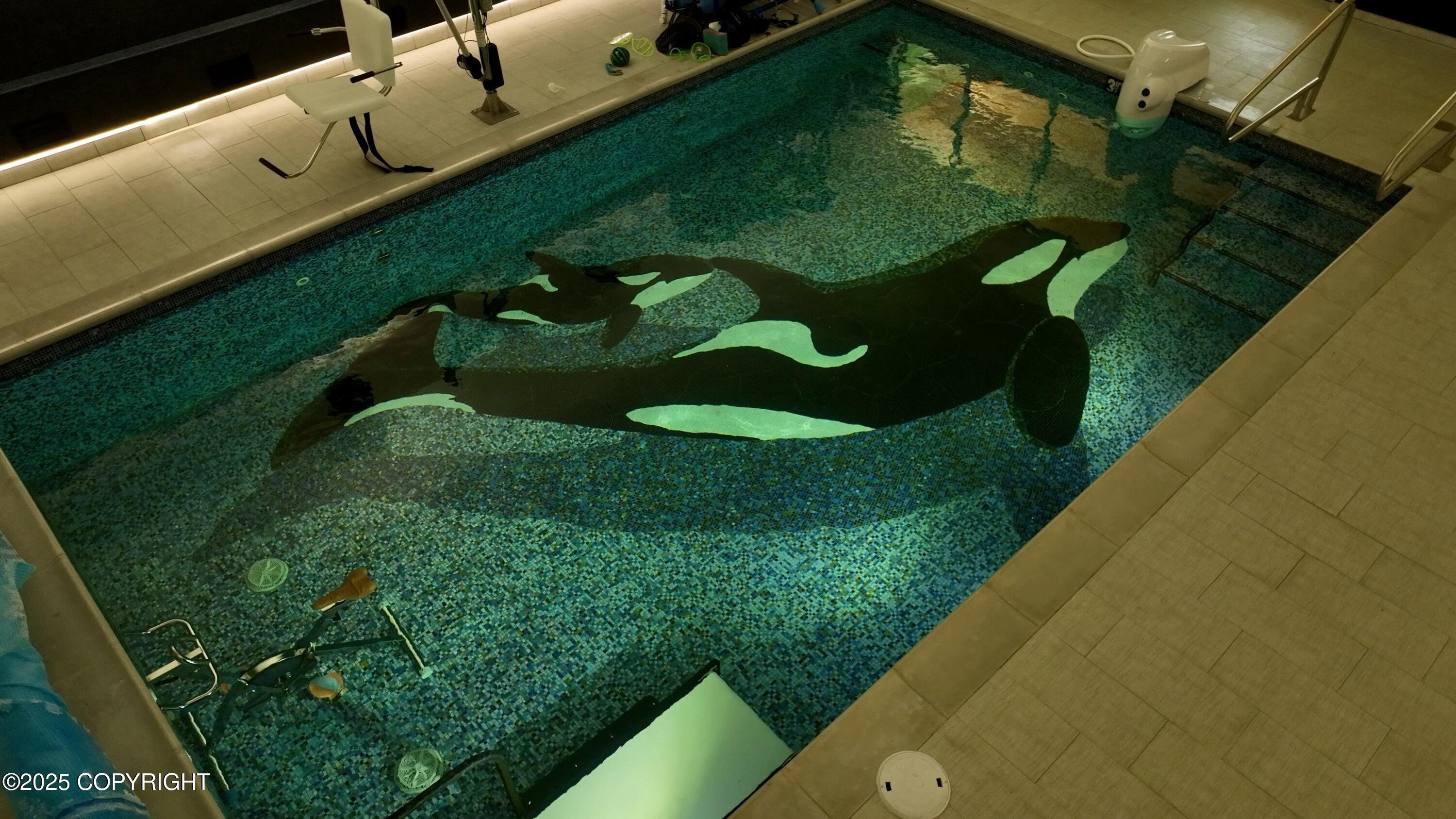 Homer, Alaska 99603, United States, ,Commercial,Pending,231761