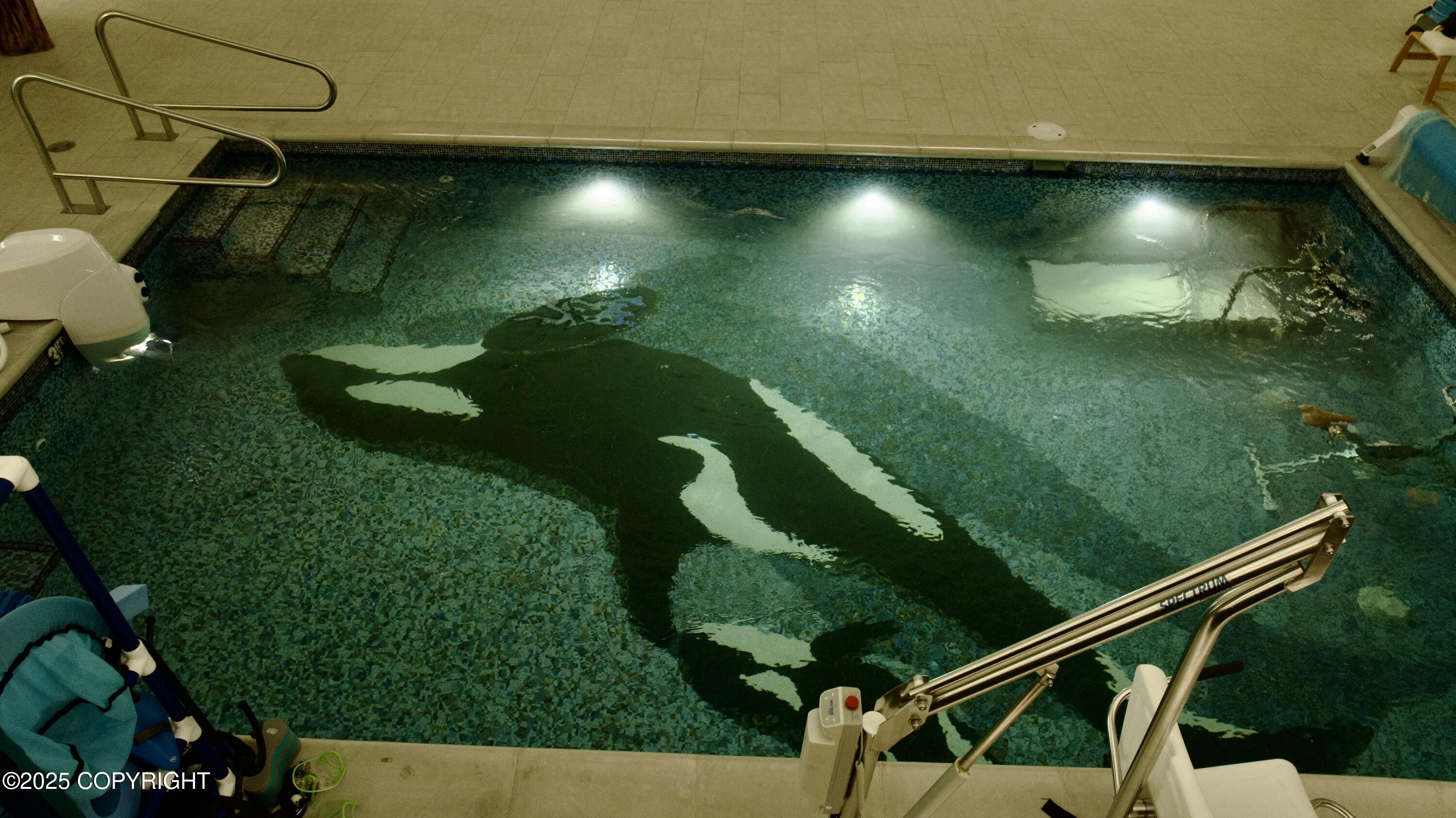 Homer, Alaska 99603, United States, ,Commercial,Pending,231761