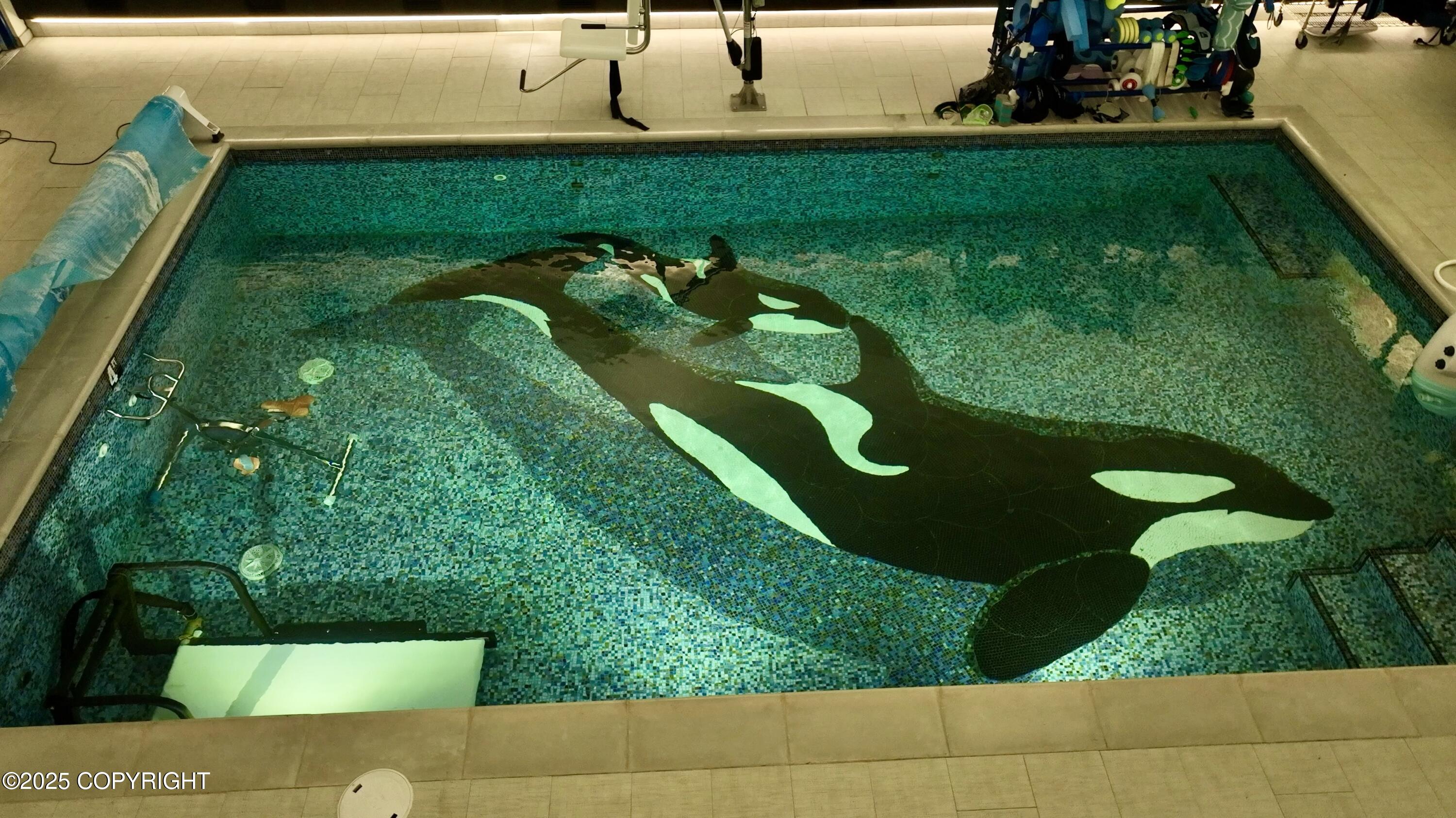 Homer, Alaska 99603, United States, ,Commercial,Pending,231761