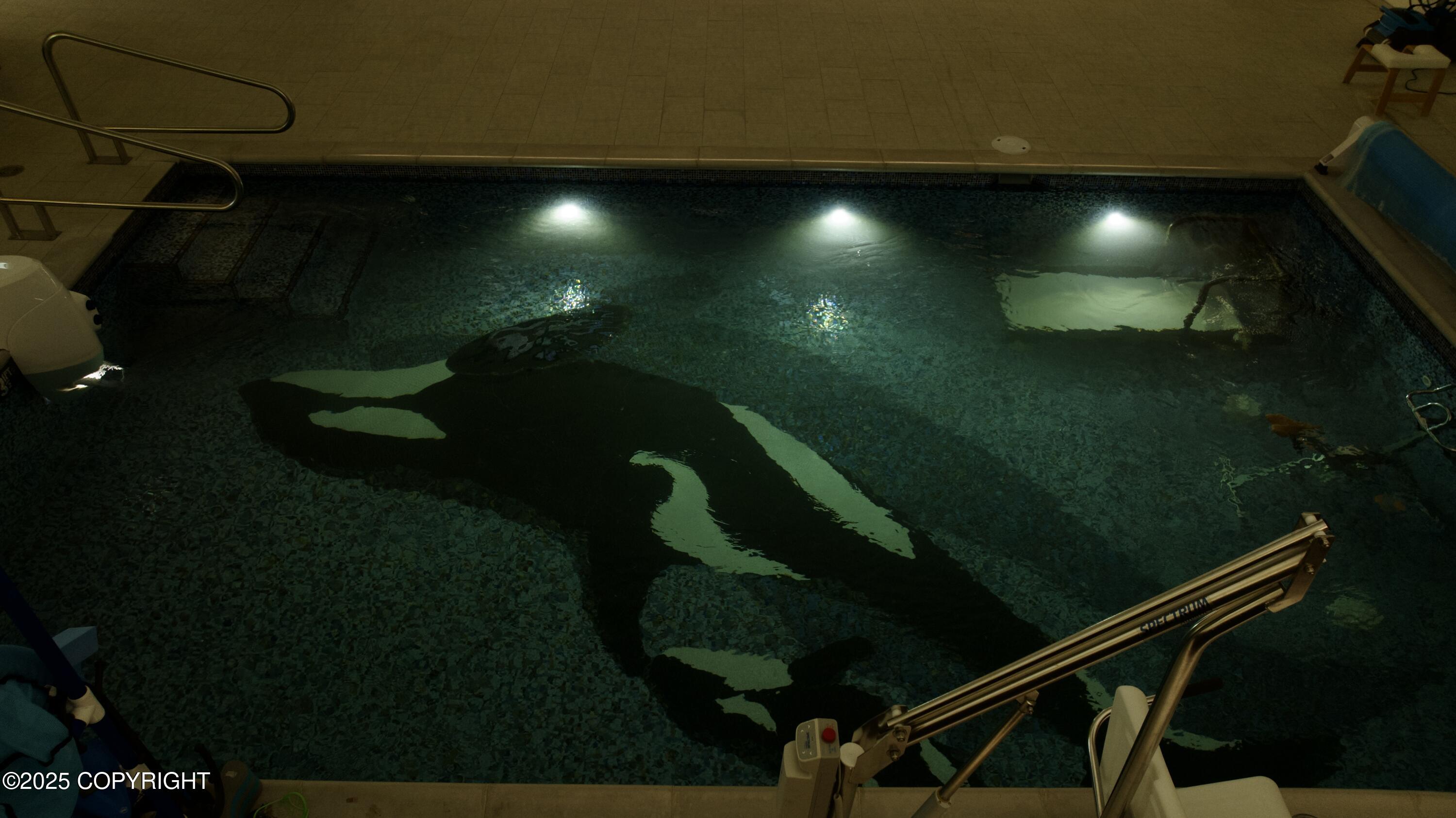 Homer, Alaska 99603, United States, ,Commercial,Pending,231761