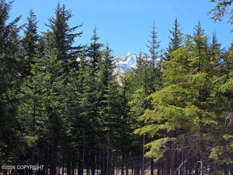 Photo of Lot 26A Martin Avenue, Haines, AK 99827 (MLS # 26-12172)