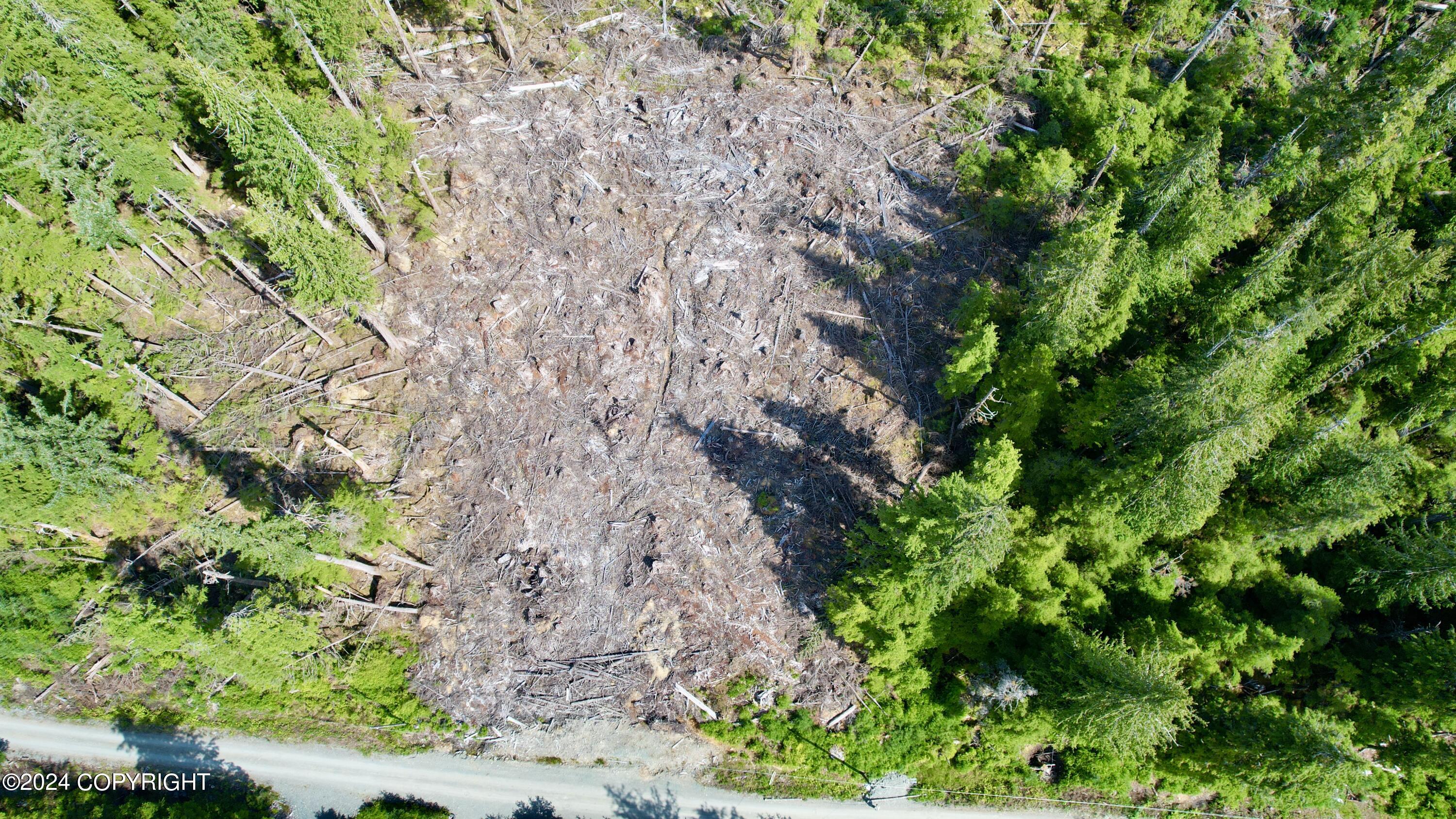 L2 Steep Road, Thorne Bay, Alaska image 5