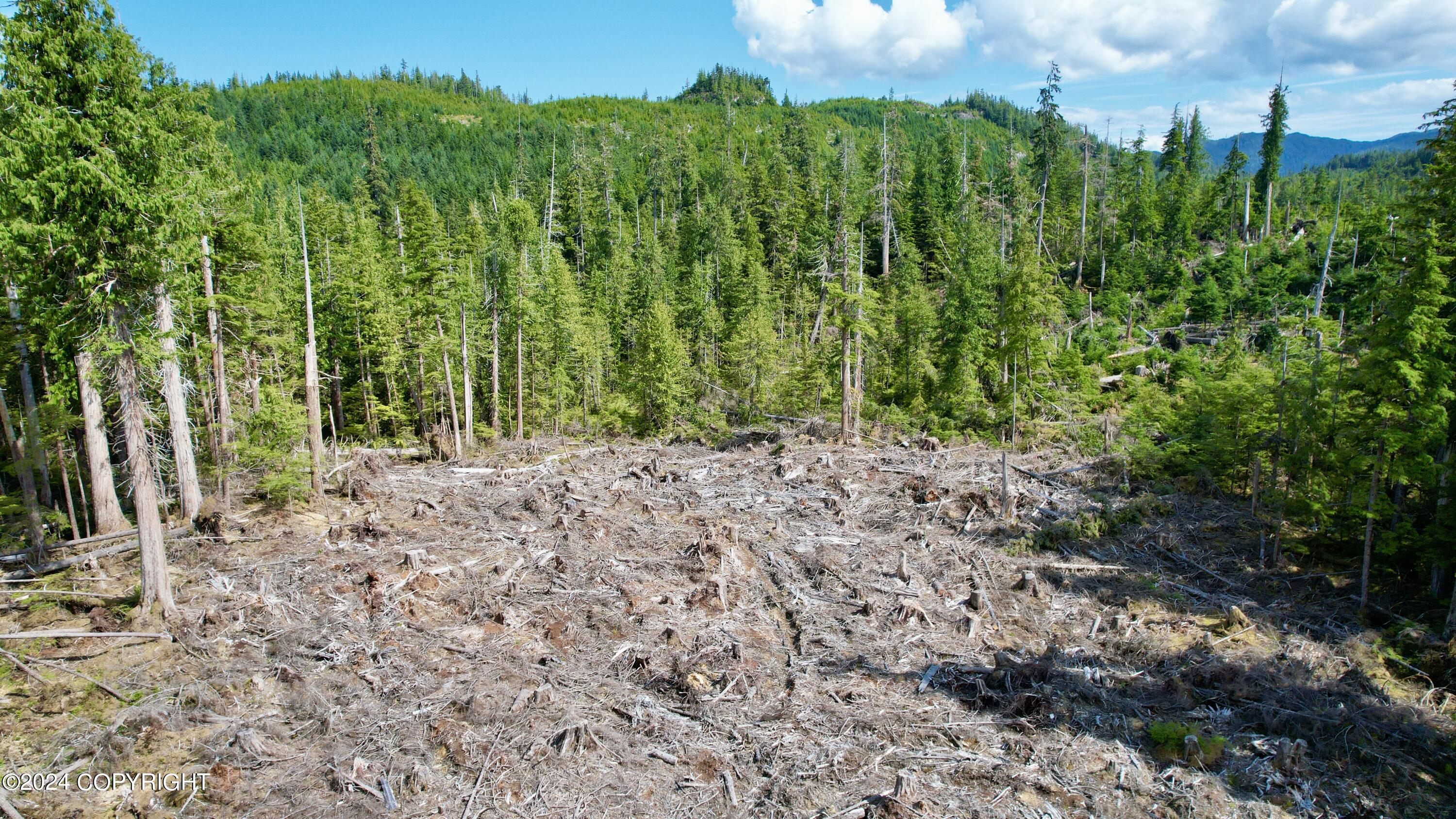 L2 Steep Road, Thorne Bay, Alaska image 1