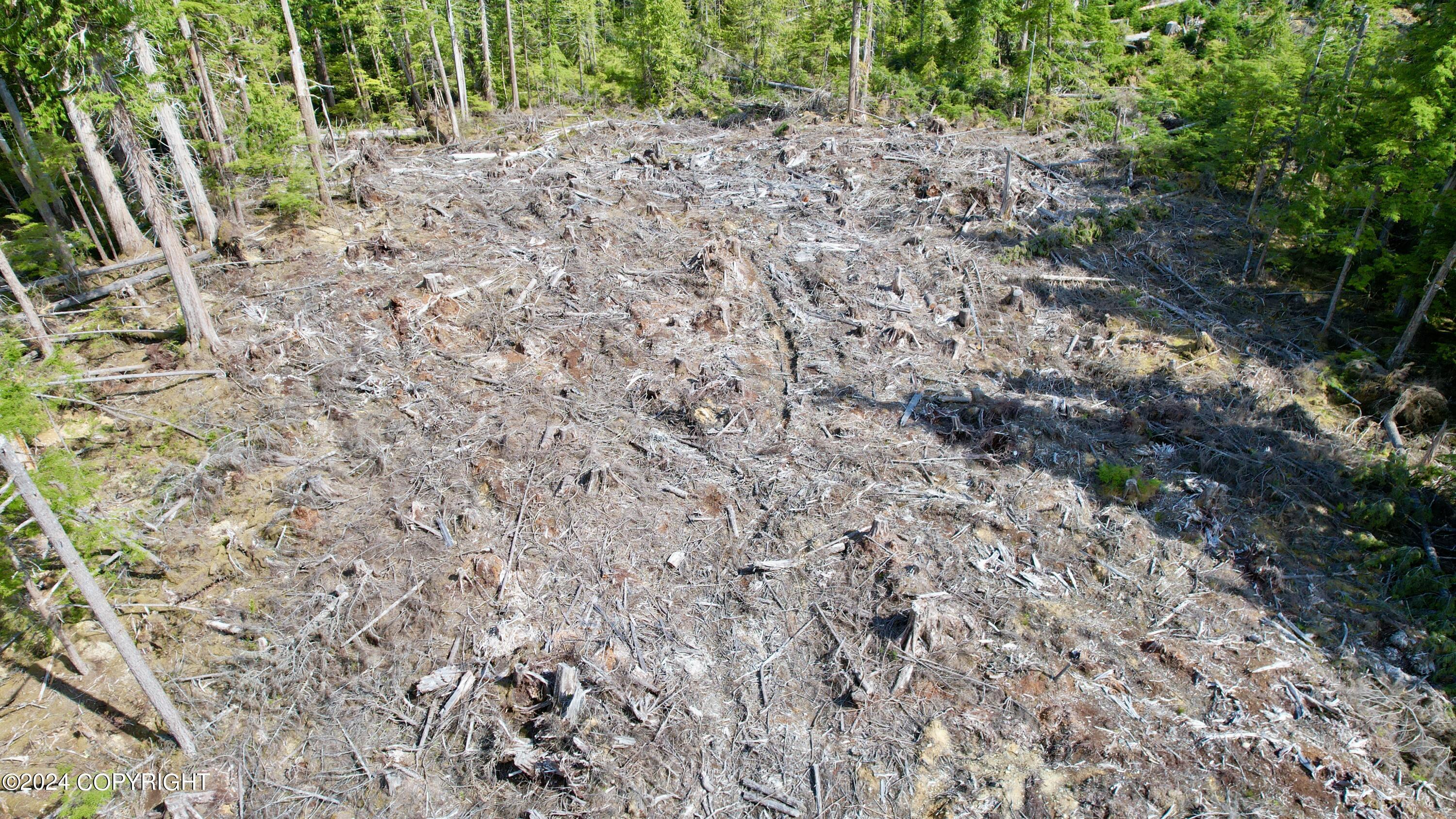 L2 Steep Road, Thorne Bay, Alaska image 6