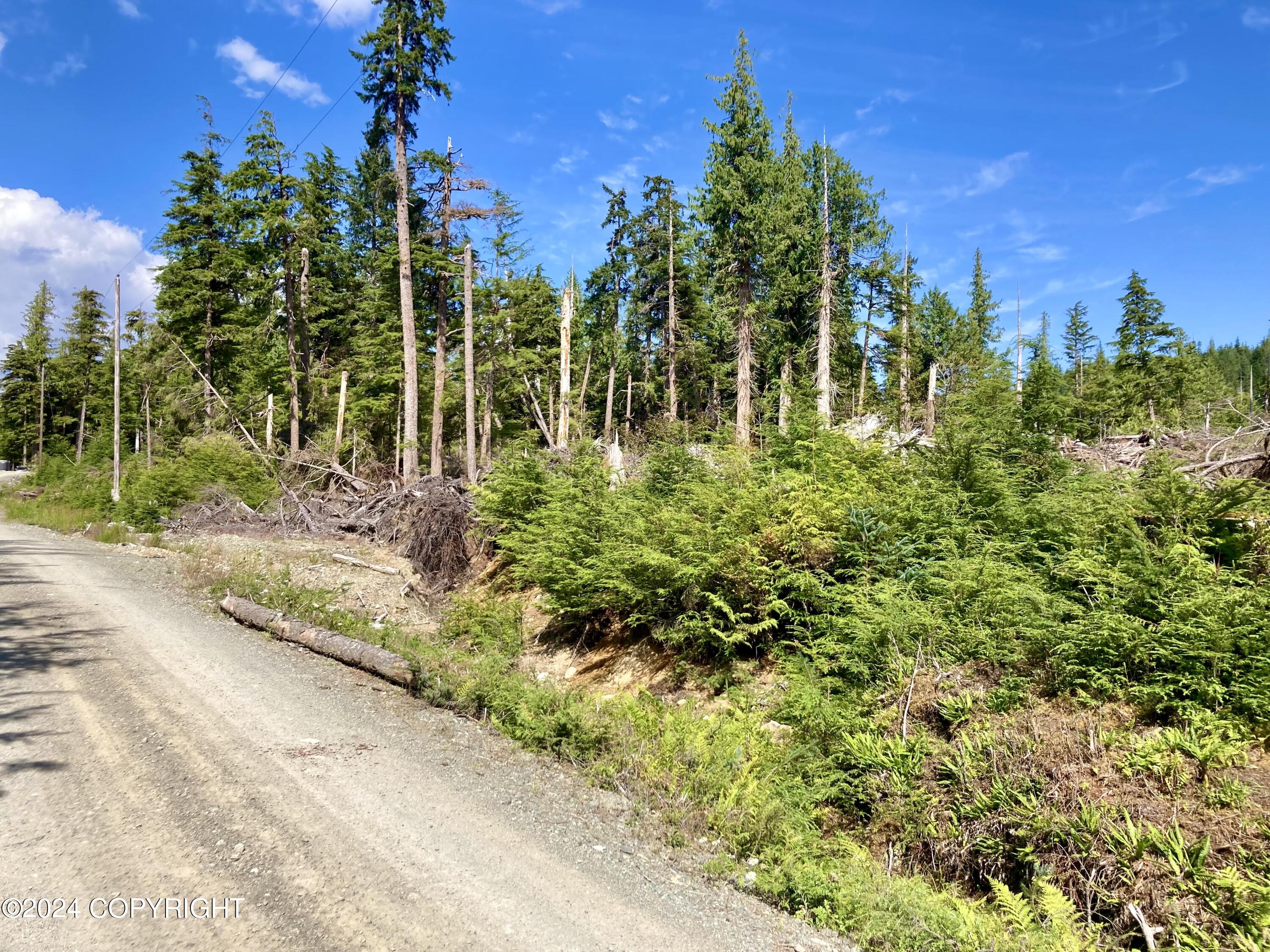 L2 Steep Road, Thorne Bay, Alaska image 2