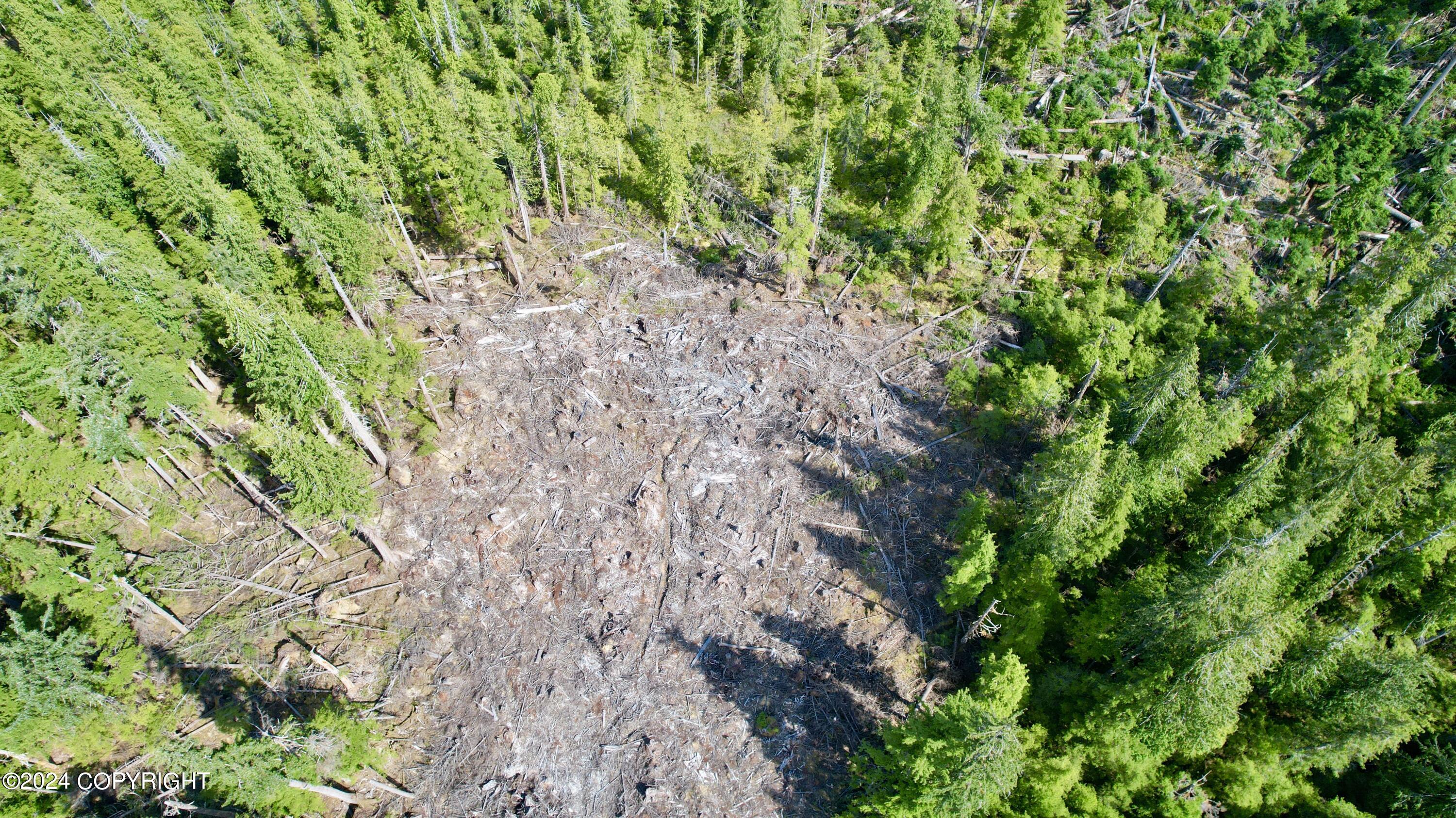 L2 Steep Road, Thorne Bay, Alaska image 7