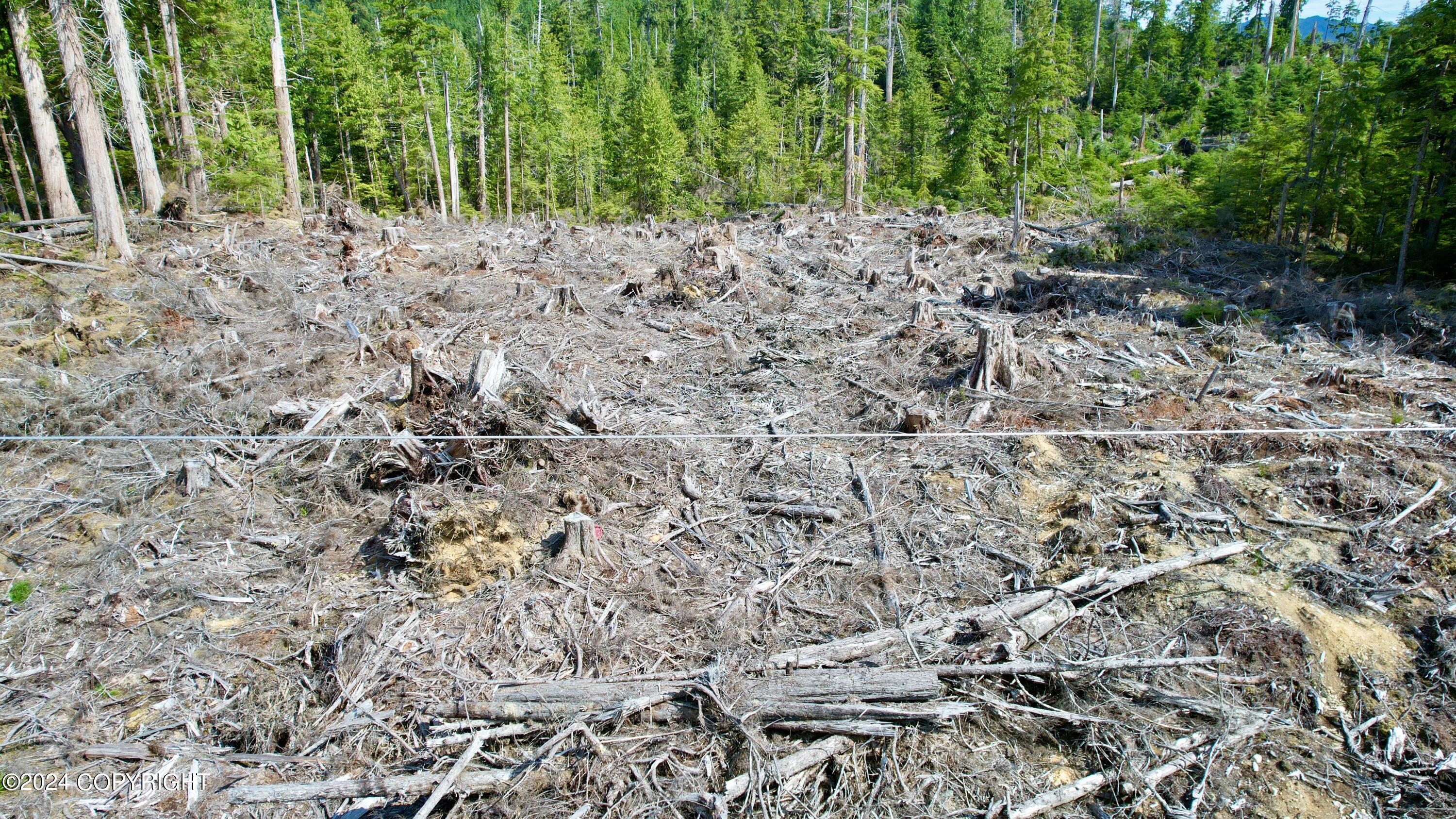 L2 Steep Road, Thorne Bay, Alaska image 8