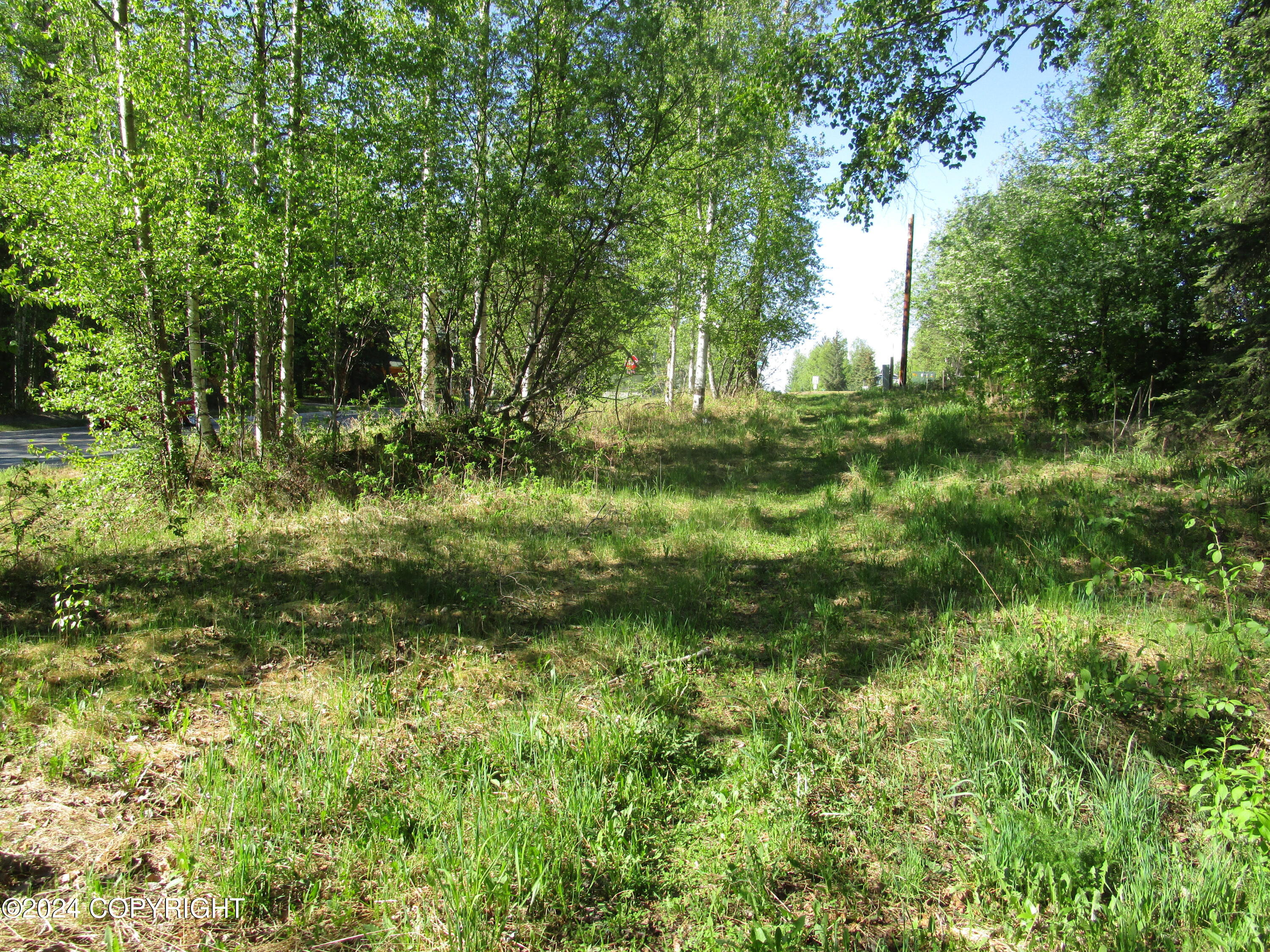 L1A B5 Palos Verde, Eagle River, Alaska image 14