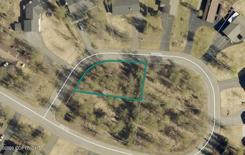 Vacant Land For Sale - 230 Stacy Drive<br/> Soldotna, AK 99669