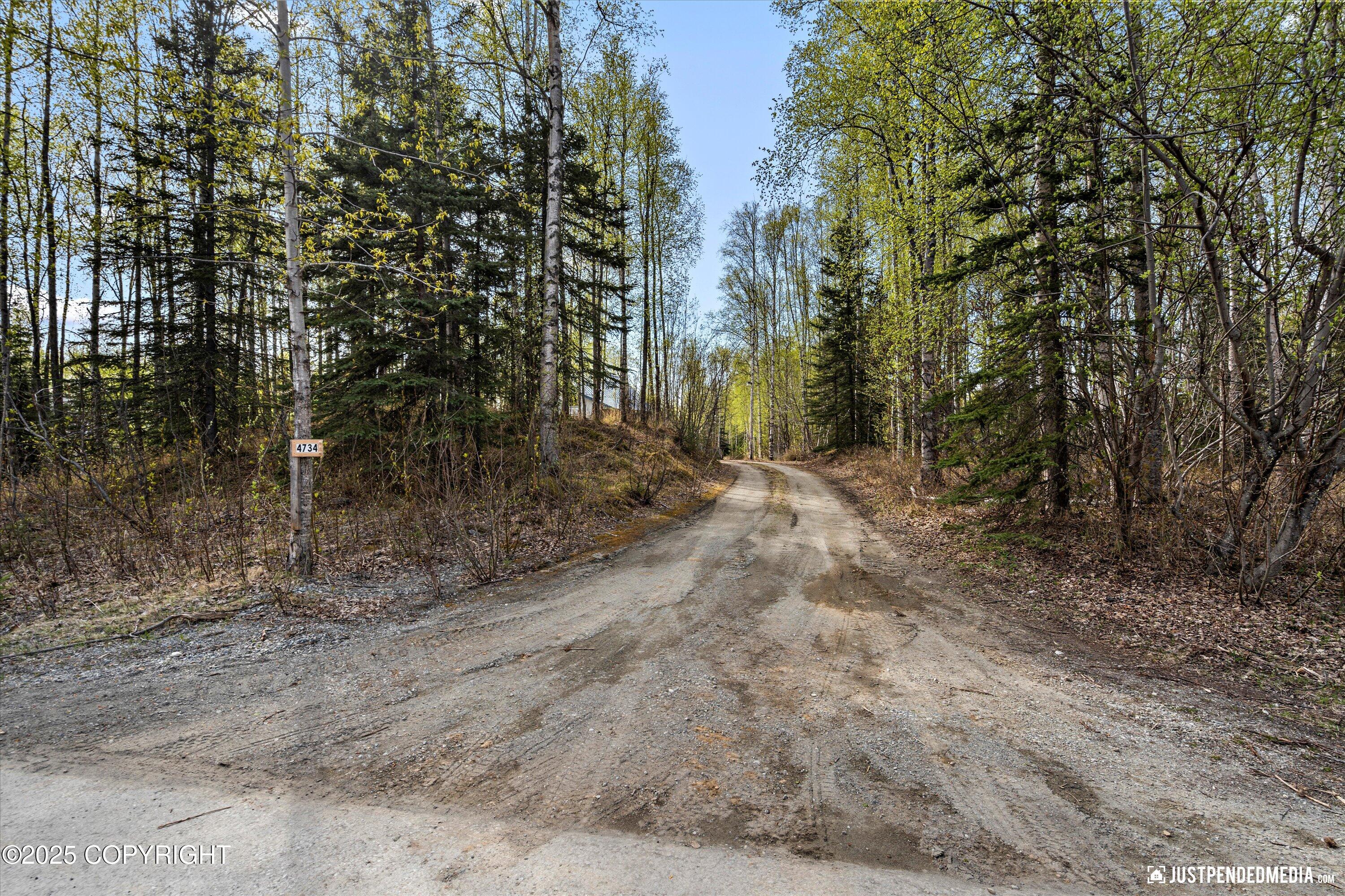 4734 S Timberland Loop, Wasilla, Alaska image 36