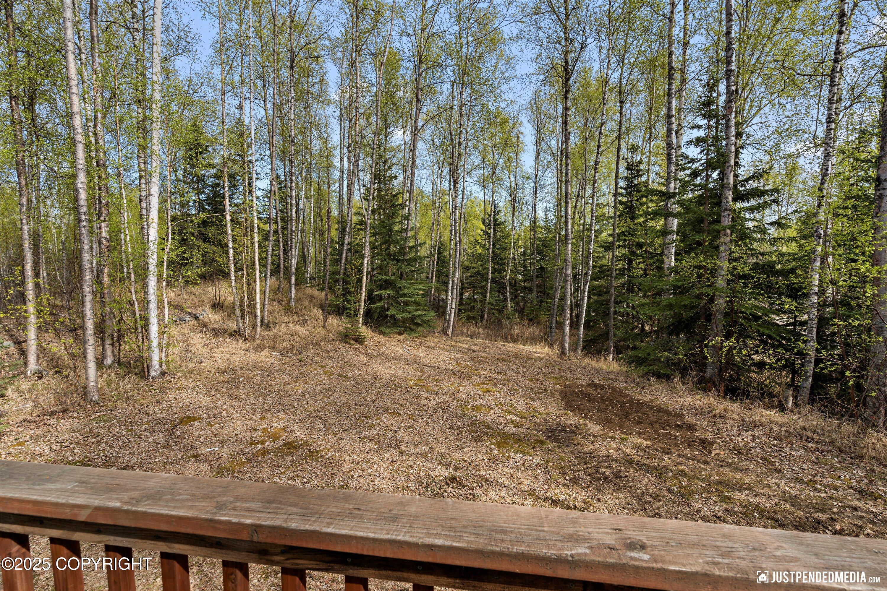 4734 S Timberland Loop, Wasilla, Alaska image 34