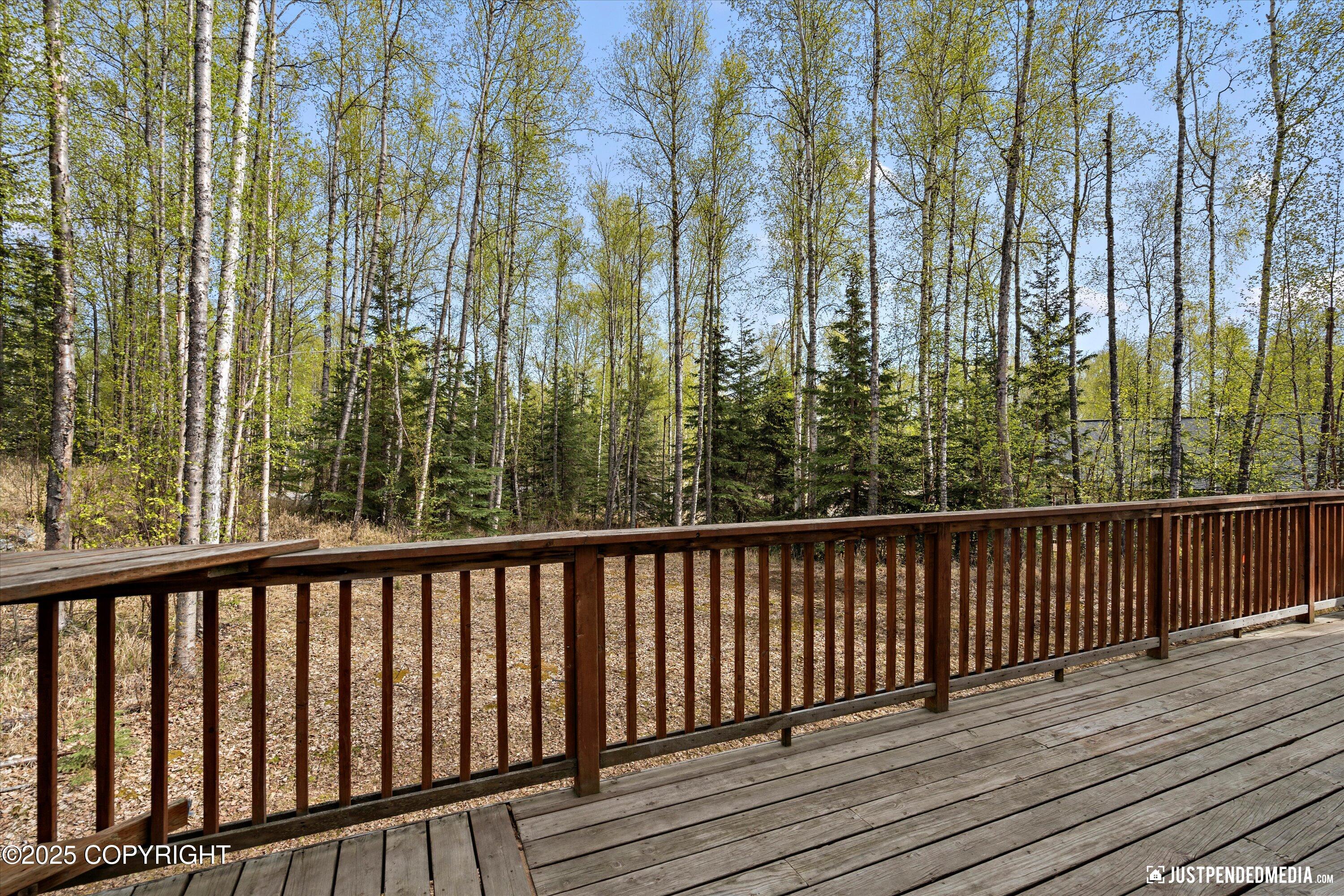 4734 S Timberland Loop, Wasilla, Alaska image 32